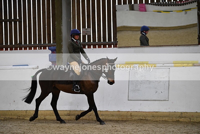 WJ5_7996 - Class 13 Ridden Part Breed