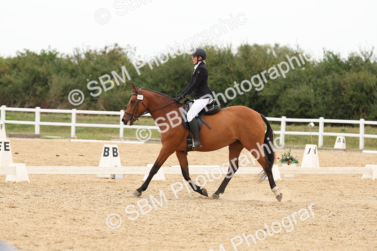 SBM_00987 - Class 8 - Novice 27 Champs