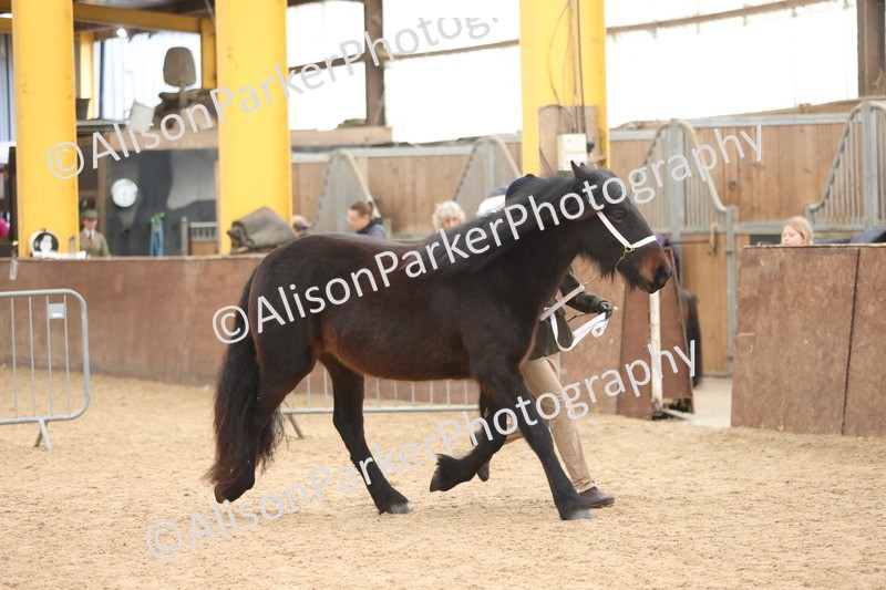 20251109-0925 - Class 26 - 2 and 4 Year Olds