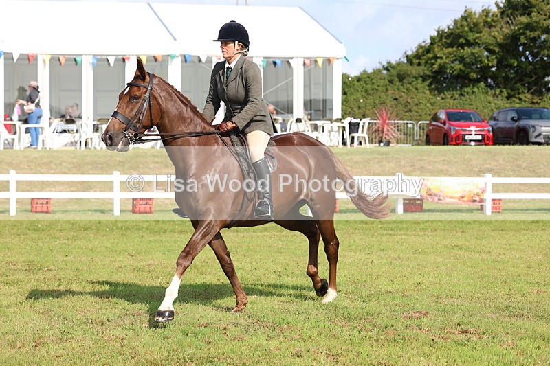 3E7A8758 - Class 3: Rising Star S/L Hunter