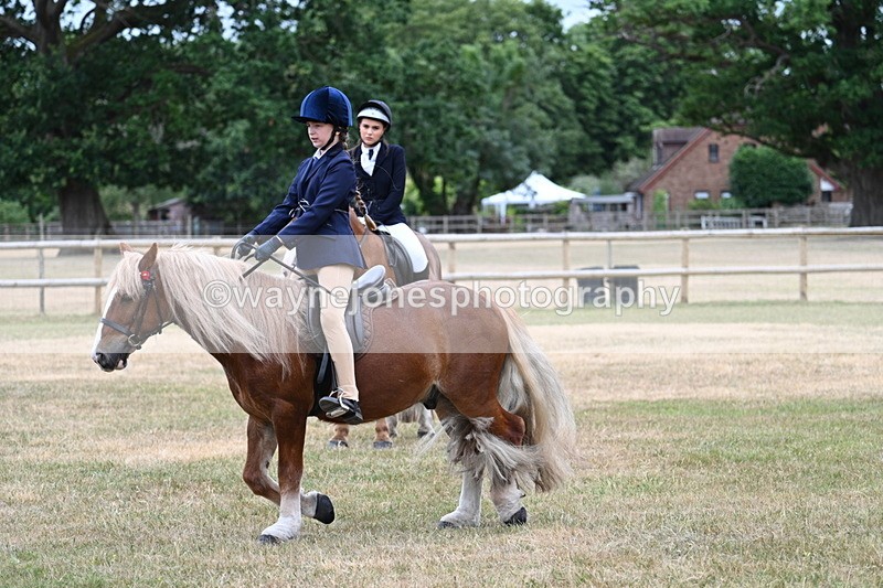 WJ7_0449 - Class 2 Best rider