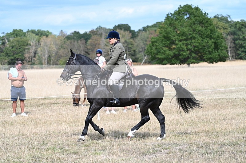 WJ7_6155 - Class 13 Ridden Veterans