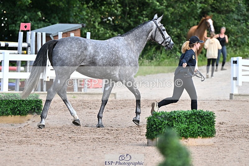 240718A-105252-01269 - Trot Up 12pm to 1pm