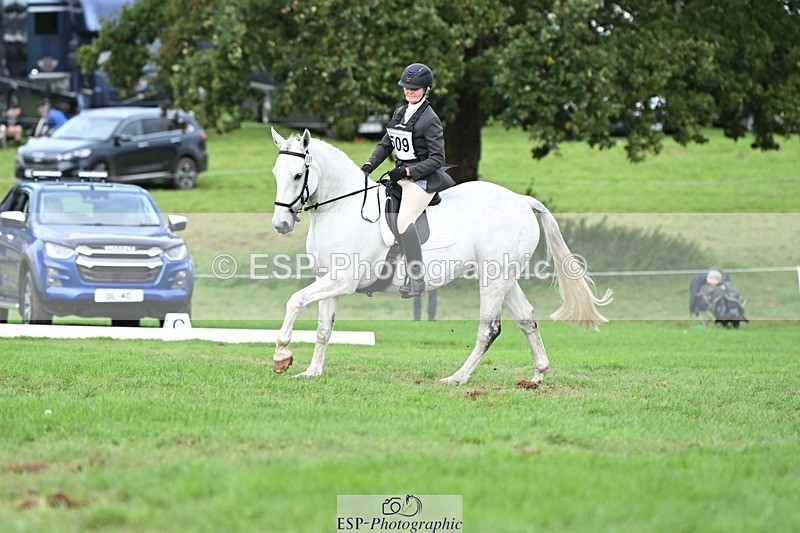 231020-155332-11302 - 509-WOODLANDS.SILVER.CLOUD-Karen.Cowling-DR