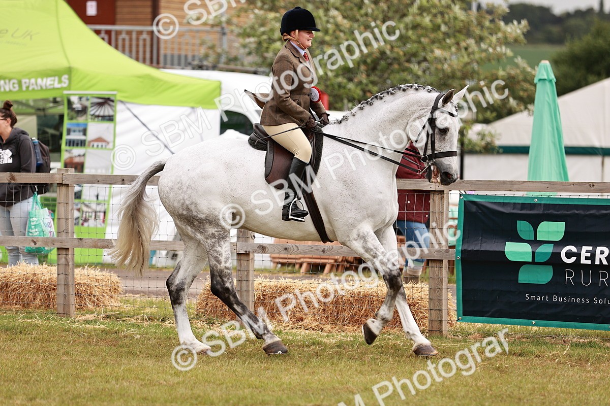 SBM_10892 - Class 81-84 - RIHS Ridden hunters Inc Ladies Hunter
