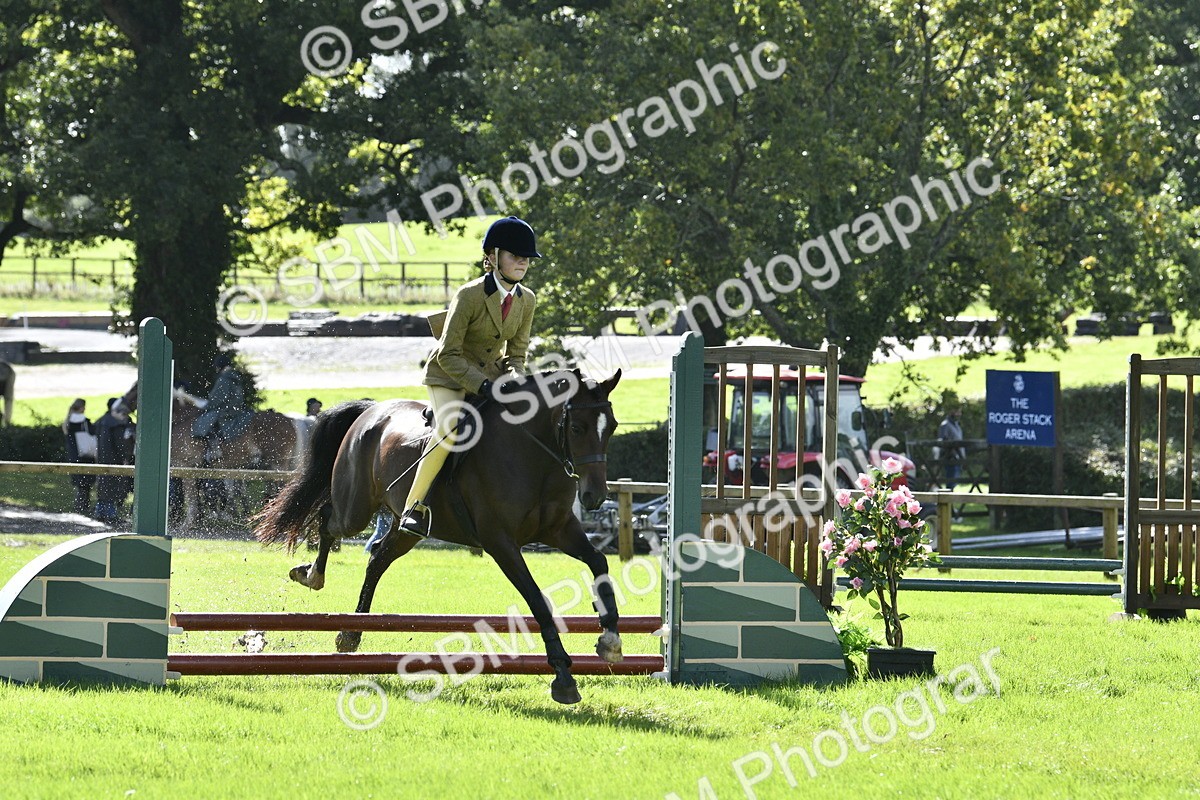 SBM_38254 - S31 - Novice & Newcomer Working Hunter Pony