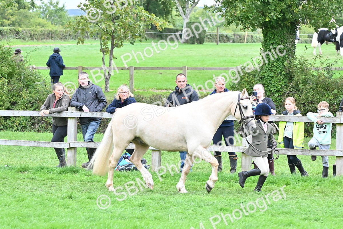 SBM_68569 - S42 - Junior Handler 9-12 Years