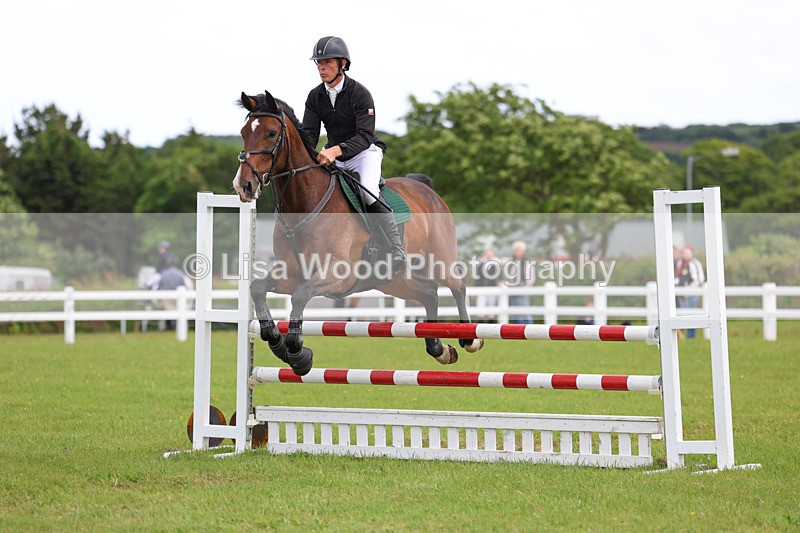 3E7A7779 - Class 13: Senior British Novice/90cm open