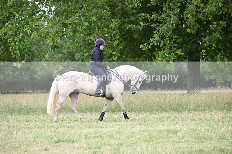 WJ6_4957 - Time at Jump 13:04 to 13:34