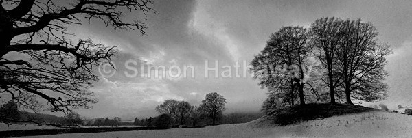 Black-and-White-Esthwaite-Trees - English Lake District Panoramas