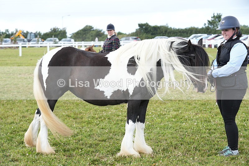 DSC06919 - Class 60: Coloured Pony 4yrs & over