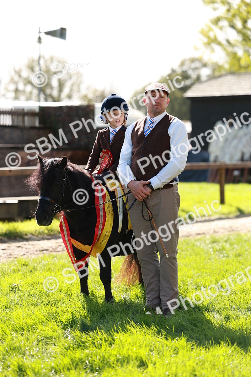 SBM_37577 - Fun Showing Supreme Championship