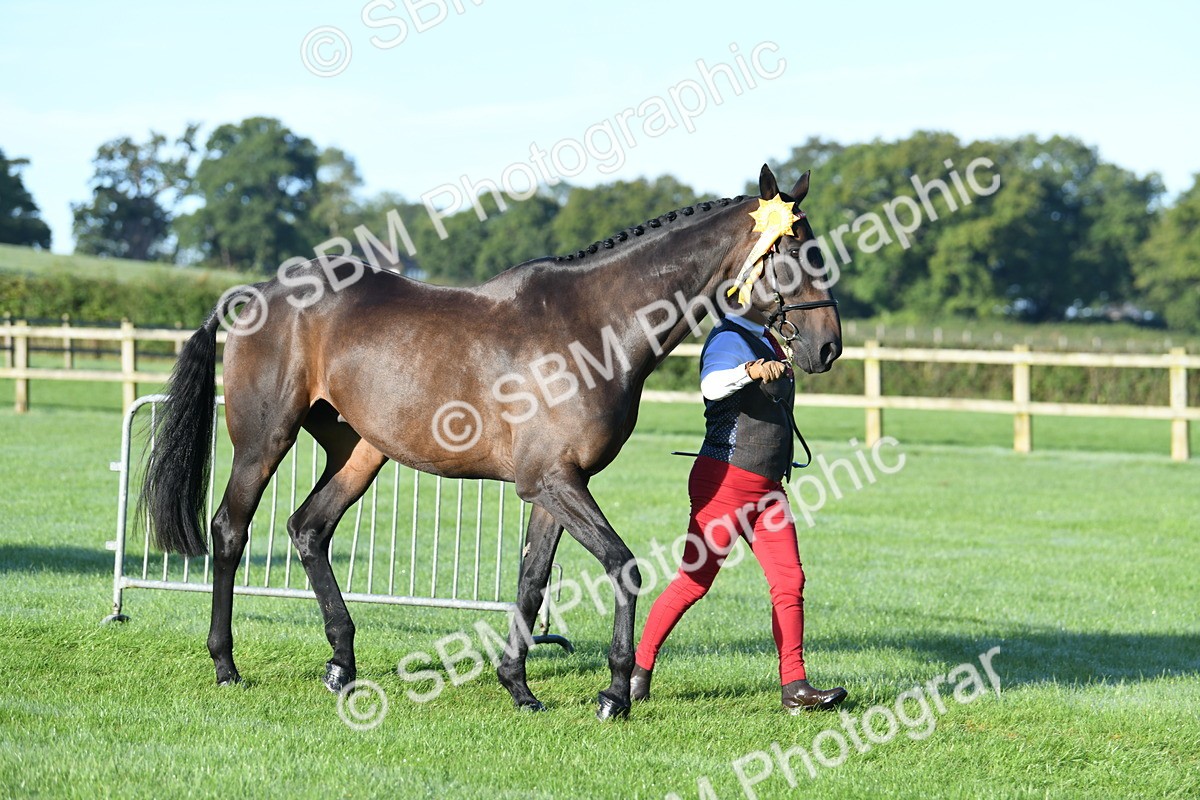 SBM_32872 - S15 - Condition & Turnout In Hand