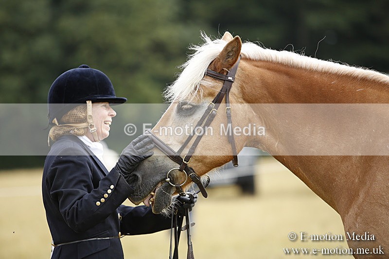 _C7A9435 - BVRC Sow 2018 Ring 2