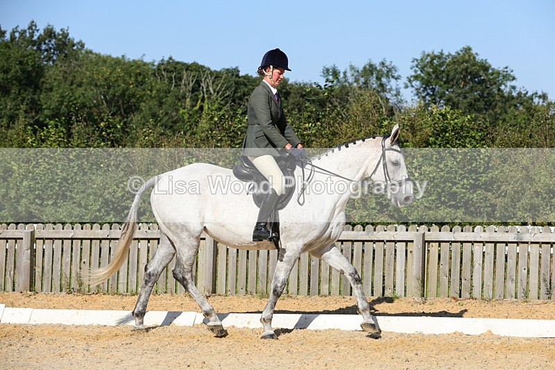 1X9A7729 - Class 9: Open Ridden Hunter