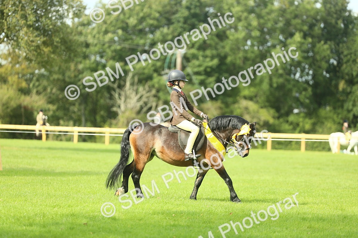 SBM_44879 - Working Hunter Pony Supreme Championship