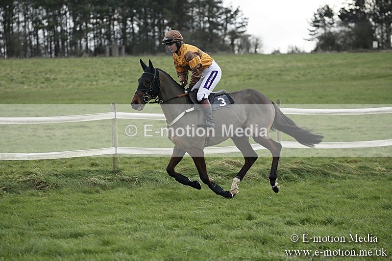 PtP 031217 73 - Hursley Hambledon Point-to-Point Larkhill 03/12/17