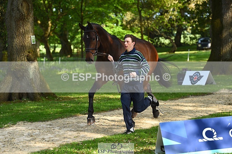 230524-172452-01490 - 174-LANCELOT_BMG-Alfie_Marshall-WEDTrotUp+DR