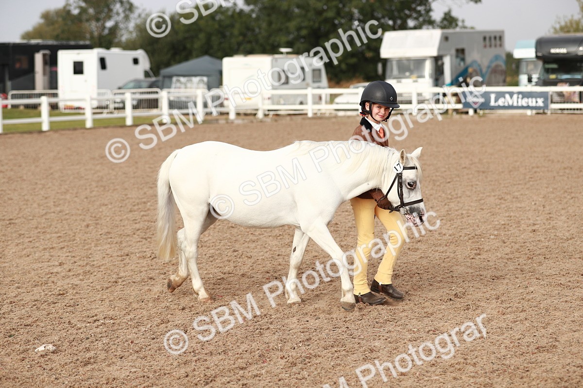 SBM_09840 - Class 203 Young Handler, 10 years and under