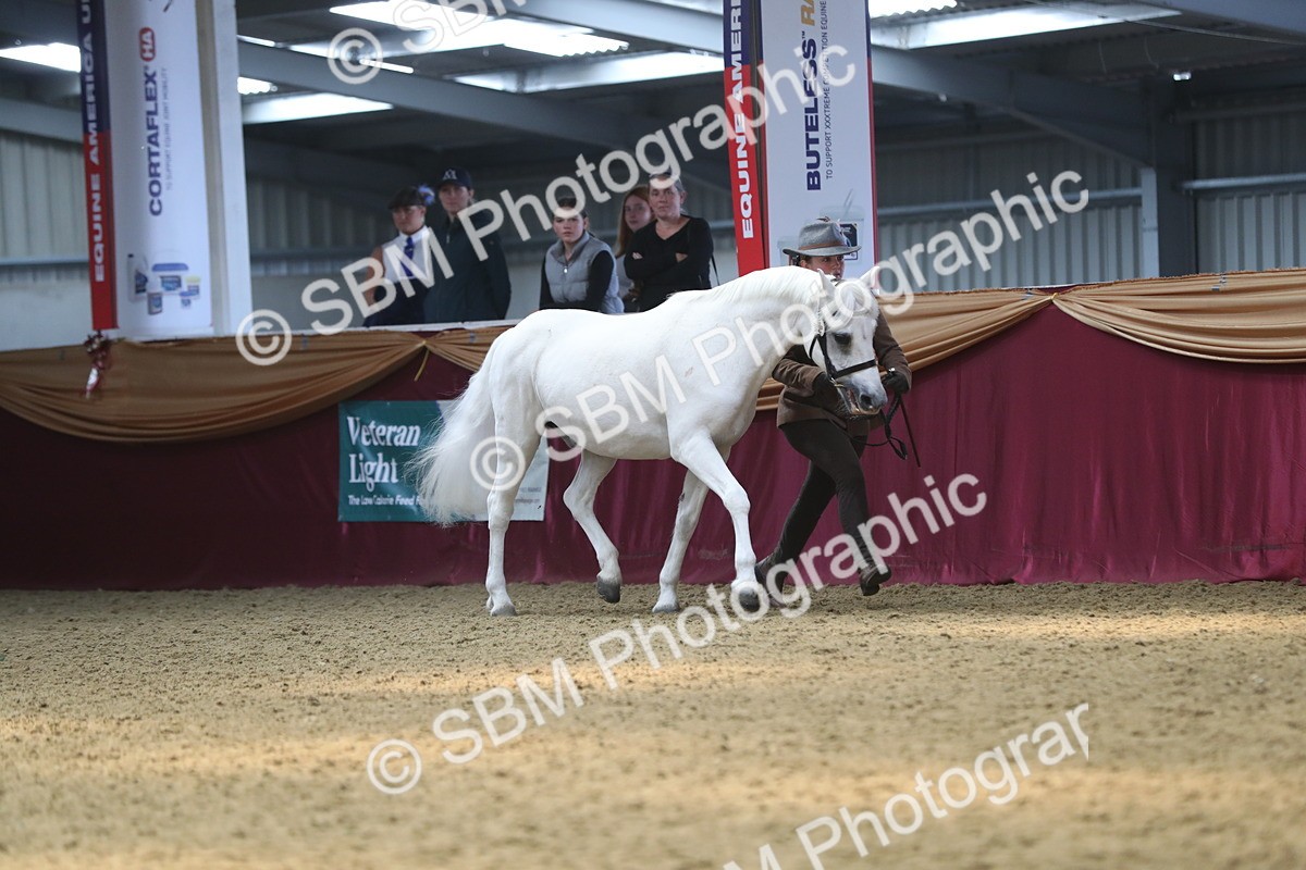 SBM_15243 - Class 501 M&M IH Supreme Final