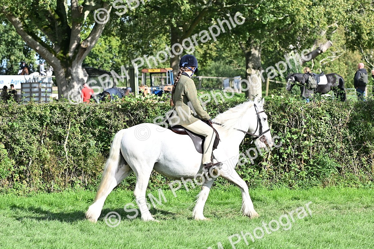 SBM_50237 - S21 - Novice & Newcomers First Ridden