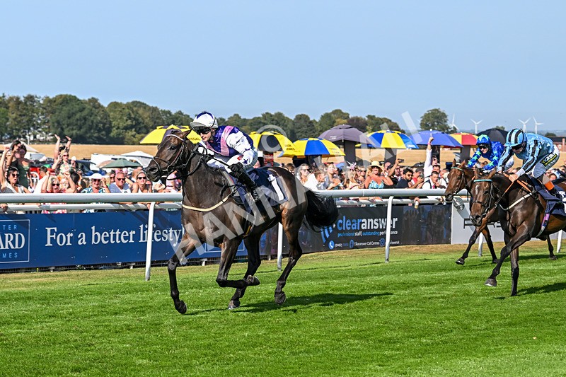 130825-Race 6-Time Tells All-9371 - Race 6