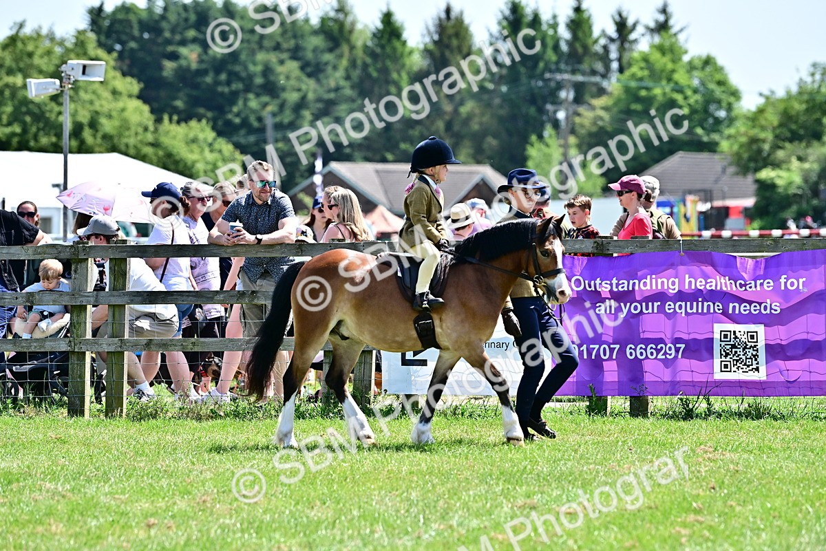 SBM_05751 - Class 59-60 - TSR M&M  Lear Rein and First Ridden Amateur of the year