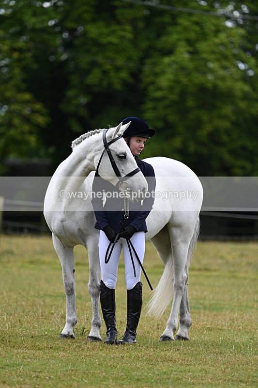 WJ7_6351 - Class 4a Prettiest Mare over 14hh