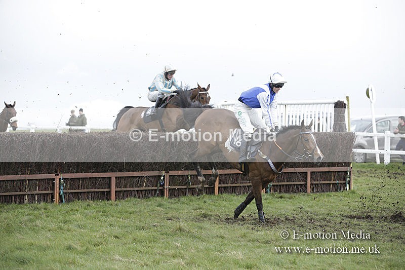 PtP 150320 0583 - New Forest Point-to-Point Larkhill 15/03/20