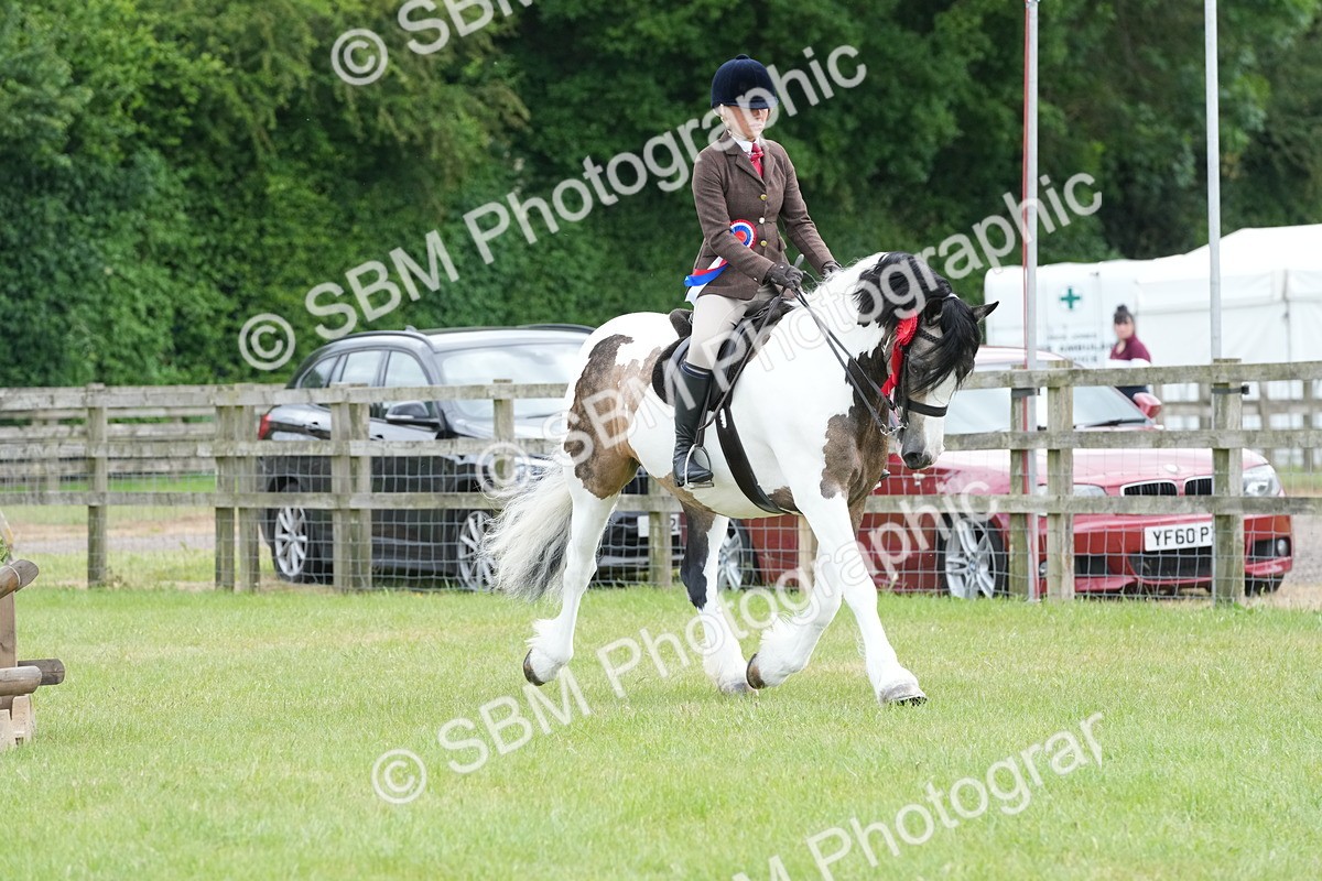 SBM_17691 - Class 107-108 - LIHS BSPS Performance Coloured Horse Pony