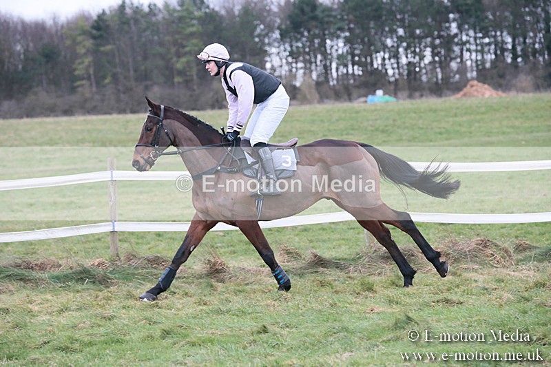 PtP 230119 299 - Royal Artillery Point-to-Point  - Larkhill  - 26/01/19