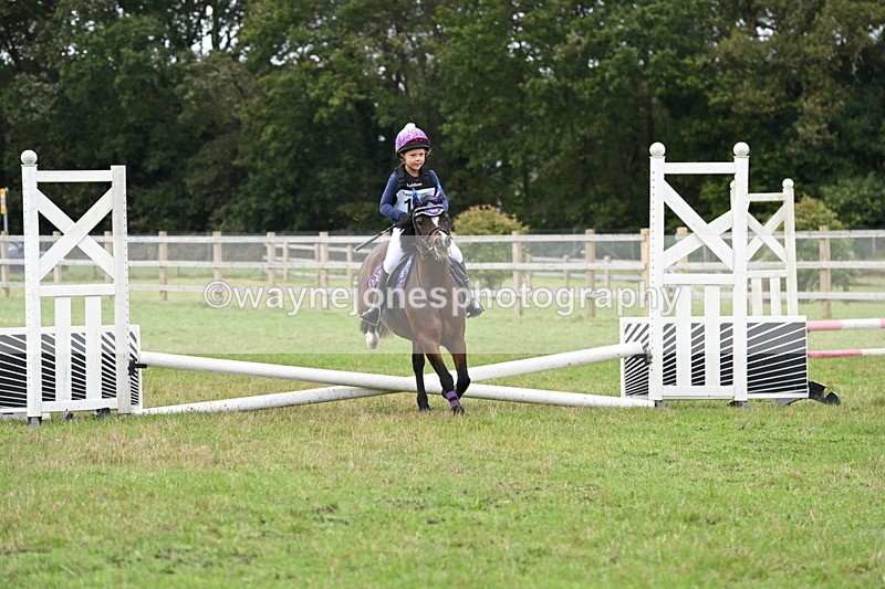 WJ6_0208 - 40cm Time 10:00 to 10:28