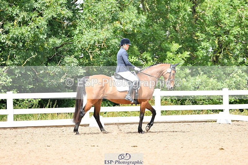 230701A-120349-05636 - Cls 7 Elementary 45