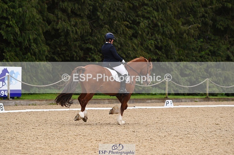 230426-111326-00412 - Cls 4 Novice 38Q Start to 11.30 break