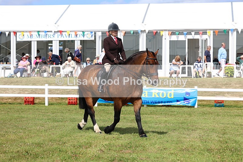 3E7A9864 - Class 5: Rising Star Lightweight/Heavyweight Cobs