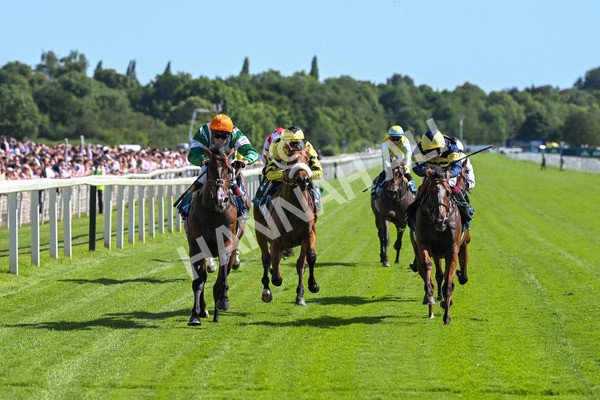 120725-Race 5-Amazing Journey-5892 - Race 5 4.15pm John Smith's Nursery Handicap