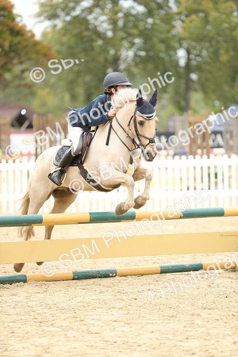 SBM_70199 - J15 - Junior Pony 70cm Championship