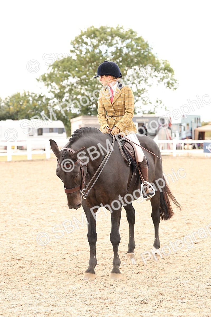 SBM_16506 - Class 212 - Ridden Hunter - Small