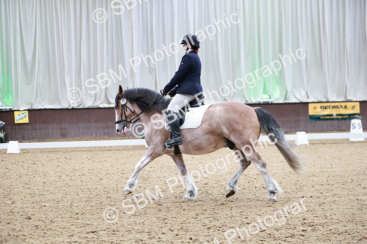 SBM_014228 - Class 7 - Ele FSM Bronze 12.12.13.08