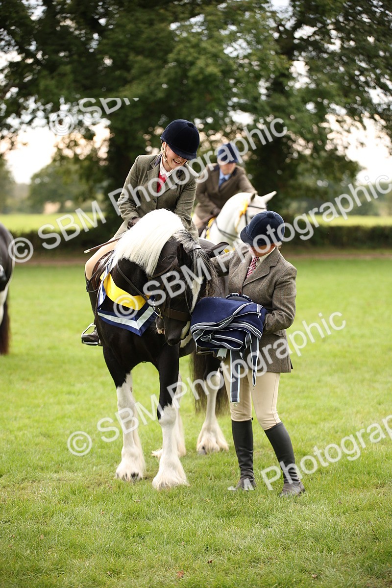 SBM_73657 - Ridden Horse Supreme Championship