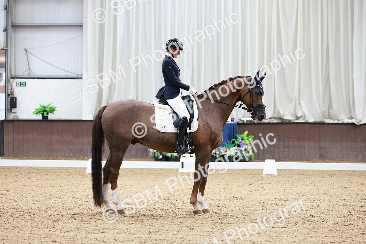 SBM_017698 - Class 15 - FEI Junior