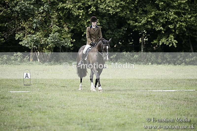 BVR090918 278 - BVRC Dressage and Show Jumping 09/09/18