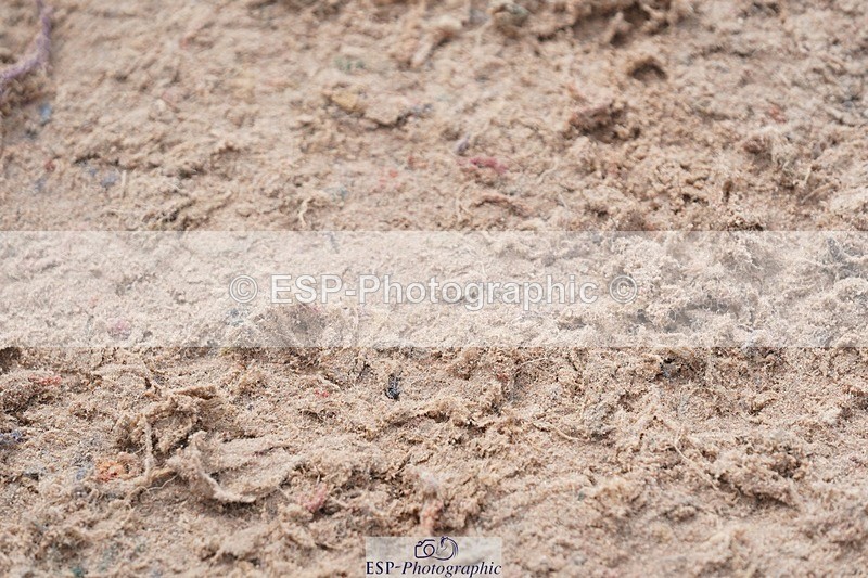 250425-101116-08464 - Cls 30 Young Horse 6yr old