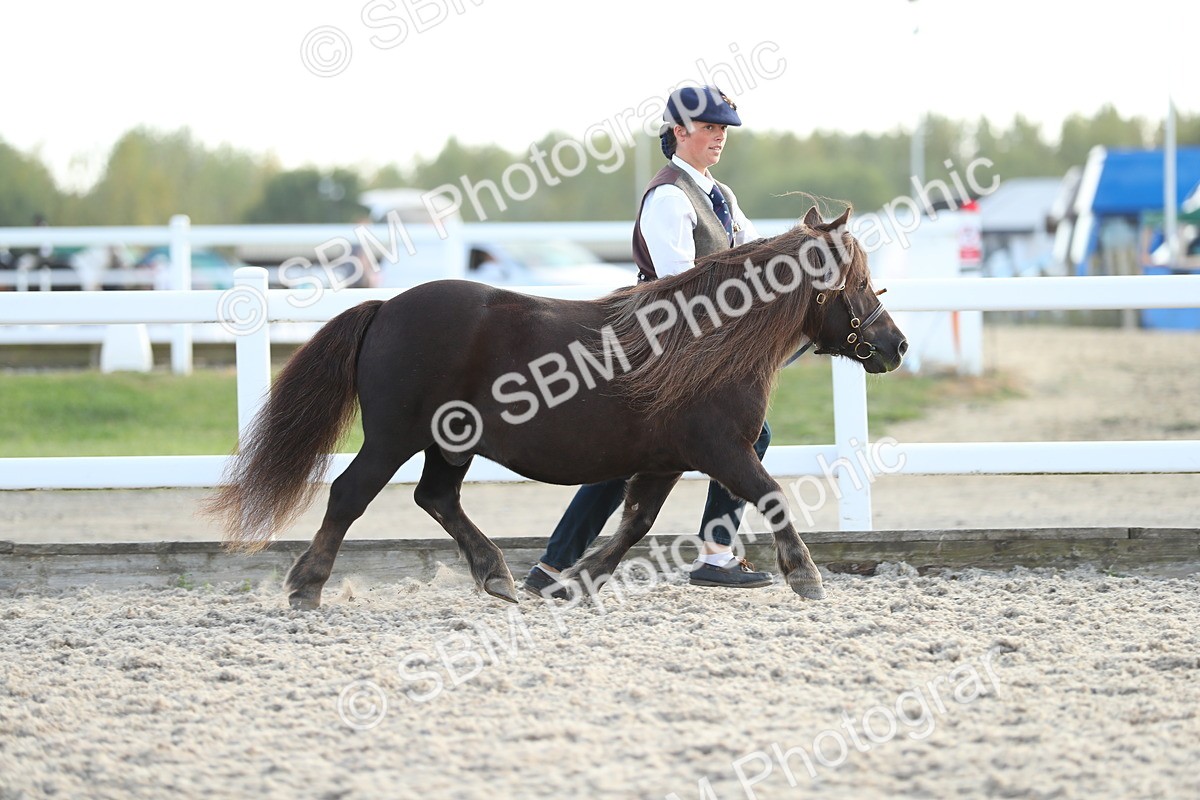 SBM_08909 - Class 29 IH Veteran Pony