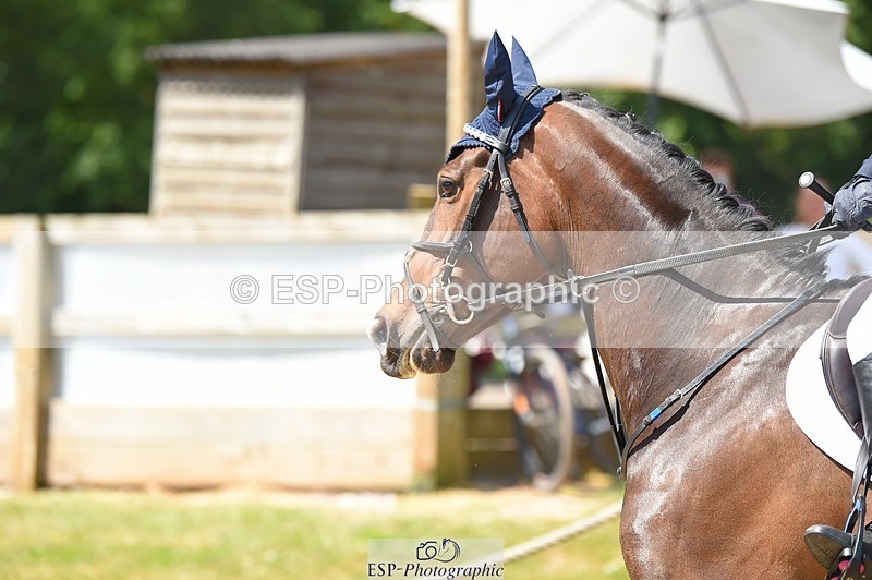 230528-112600-15207 - 379-QUIZICAL_Z-Alice_Hallows-SUNTrotUp+SJ