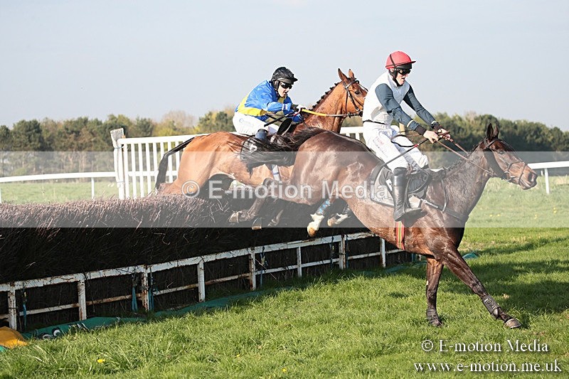 PtP 210418 639 - South & West Wilts Point-to-Point Larkhill 21/04/18