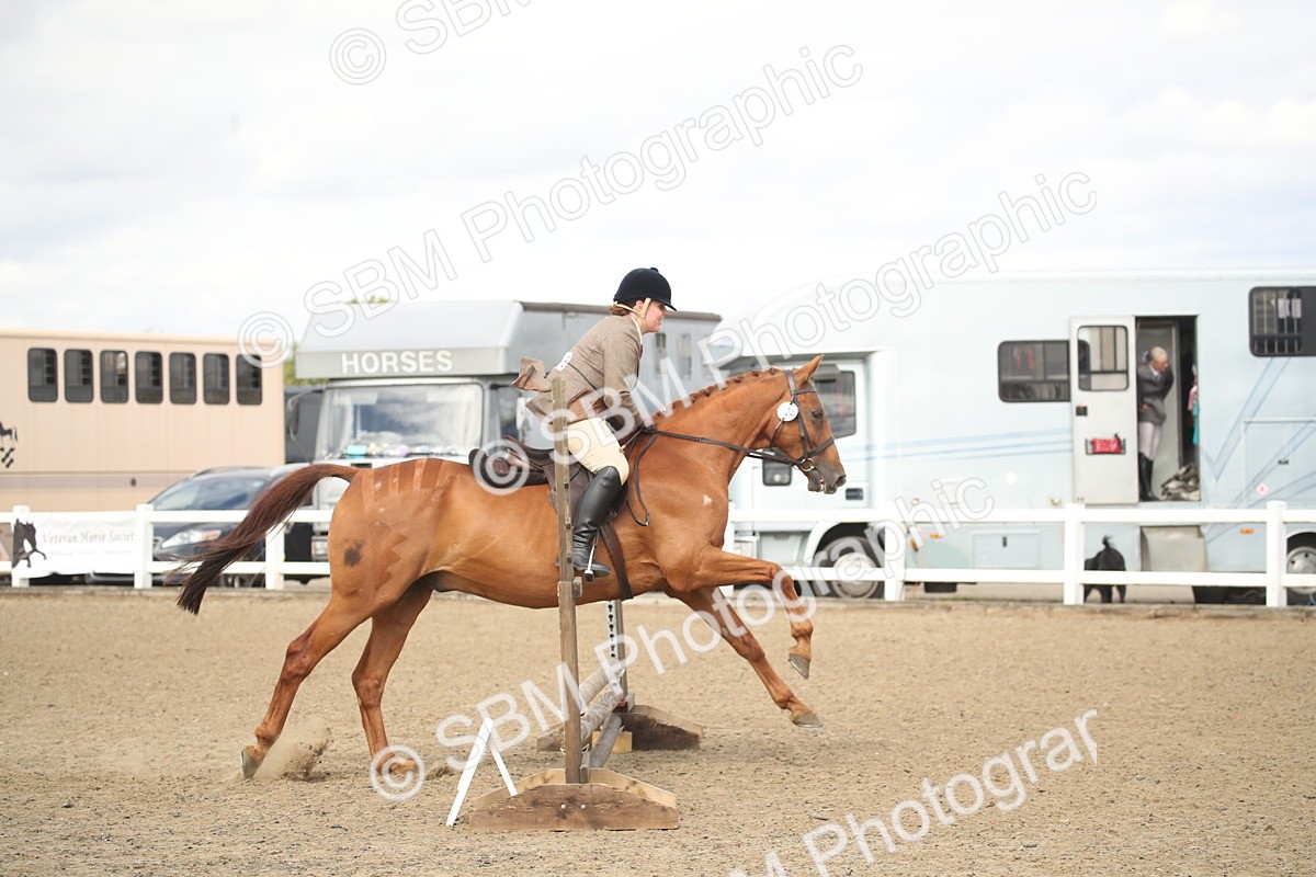 SBM_15303 - Class 506b - Working Veteran - 50cm (20+)