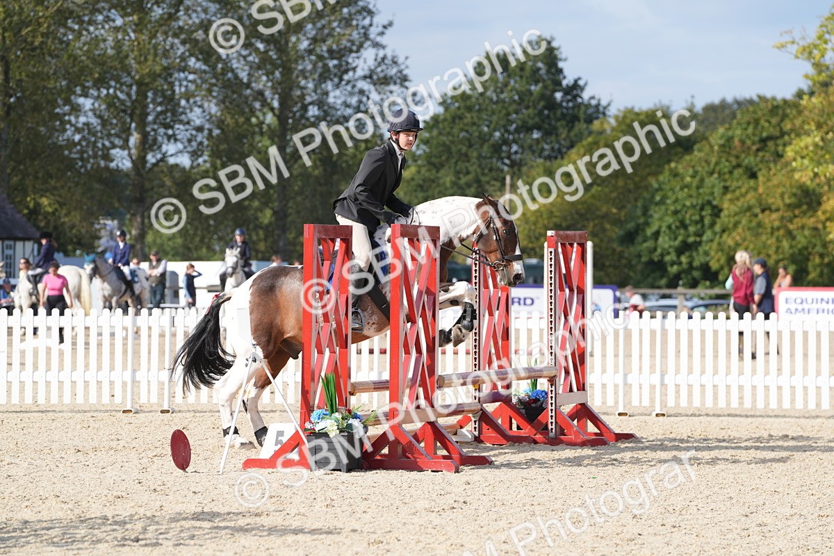 SBM_48782 - J22 - Junior Horse 65cm Championship