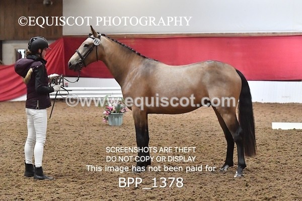 BPP_1378 - MORNING 9AM - 12PM