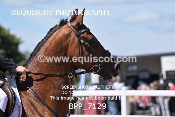 BPP_7129 - CLASS 14 FRI Nupafeeds Senior Dicovery/1m open